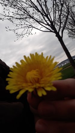 IMG-20220404-WA0000.jpeg