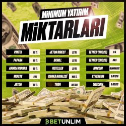 yatırım miktarları.jpg yatırım miktarları.jpg
