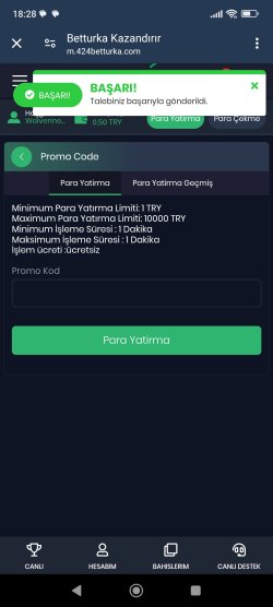 Screenshot_2024-07-16-18-28-09-732_com.android.chrome.jpg