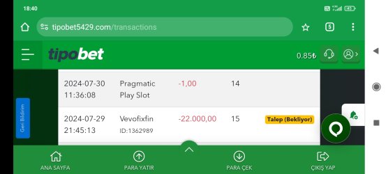 Screenshot_2024-08-10-18-40-18-217_com.android.chrome.jpg