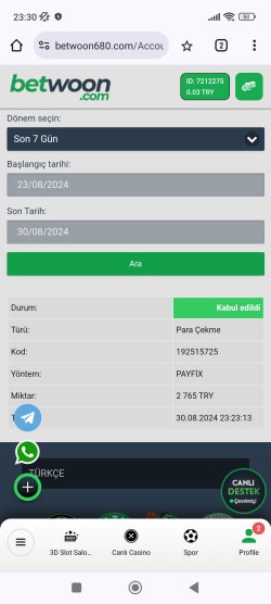 Screenshot_2024-08-30-23-30-09-275_com.android.chrome.jpg