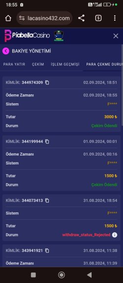 Screenshot_2024-09-02-18-55-55-615_com.android.chrome.jpg