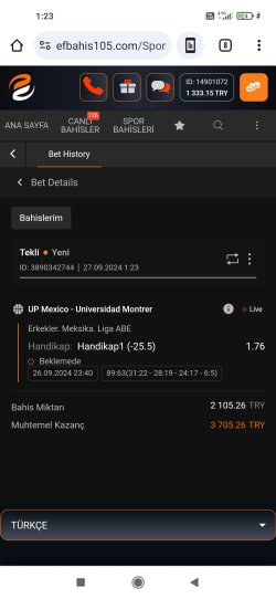 Screenshot_2024-09-27-01-23-59-655_com.android.chrome.jpg