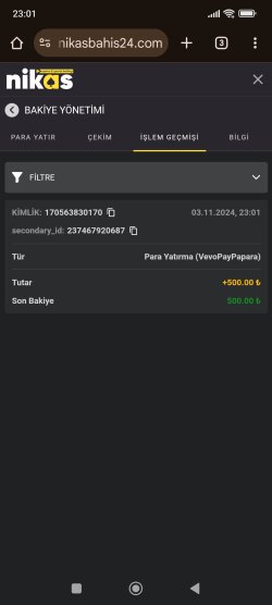 Screenshot_2024-11-03-23-01-41-053_com.android.chrome.jpg