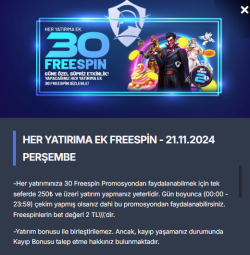 2024-11-21T20-06-38-101Z.png 2024-11-21T20-06-38-101Z.png