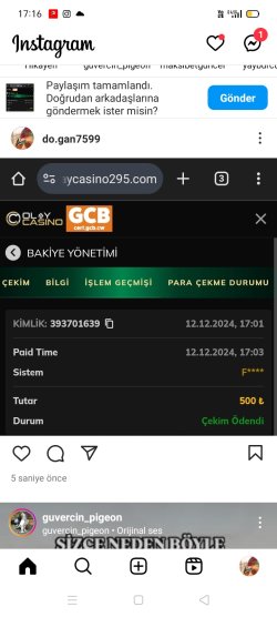 Screenshot_2024-12-12-17-16-09-65.jpg