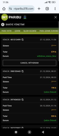 Screenshot_2024-12-27-11-56-47-584_com.android.chrome.jpg