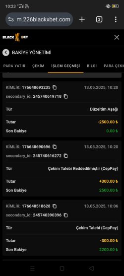 Screenshot_2025-05-13-10-23-21-26.jpg